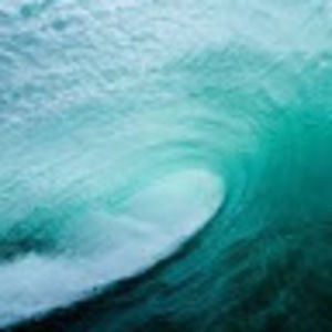 Meet your Posher, Graham